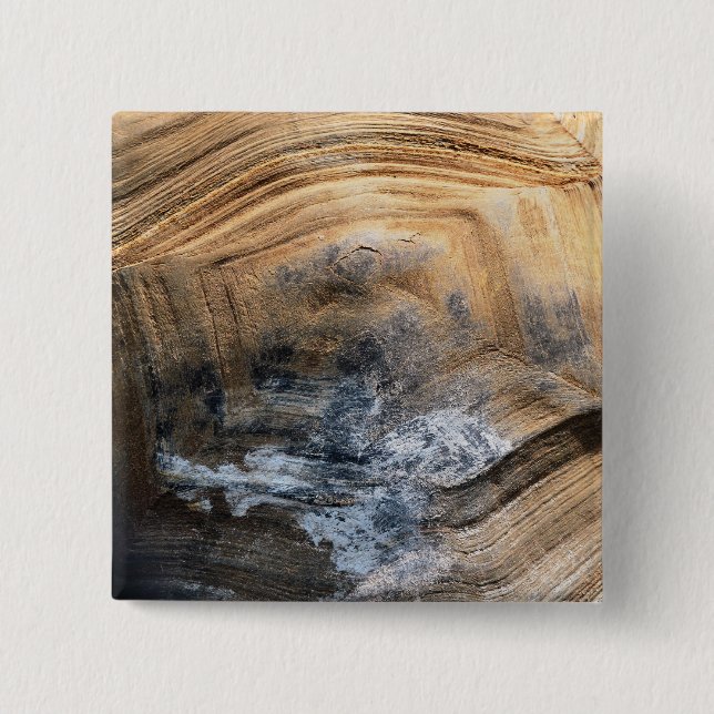 GIANT TORTOISE SHELL PINBACK BUTTON (Front)