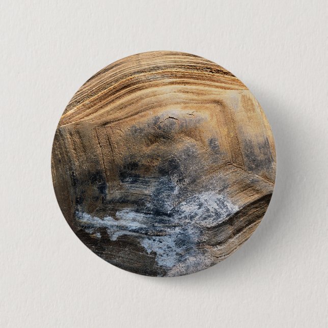 GIANT TORTOISE SHELL PINBACK BUTTON (Front)