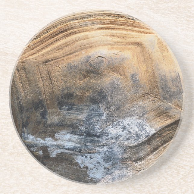 GIANT TORTOISE SHELL SANDSTONE COASTER (Front)