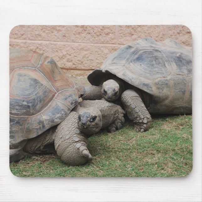giant tortoises mouse pad (Front)