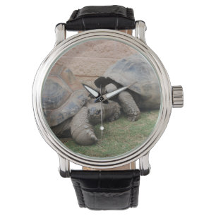 giant tortoises watch