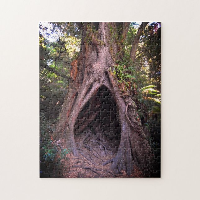 Giant Tree, Meditation Cave / Forest at sunset Jigsaw Puzzle (Vertical)