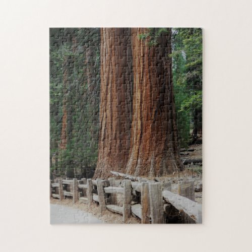 Giant Trees at SequoiaKings Canyon National Park Jigsaw Puzzle