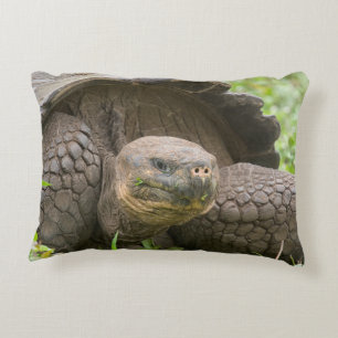 Giant turtle accent pillow