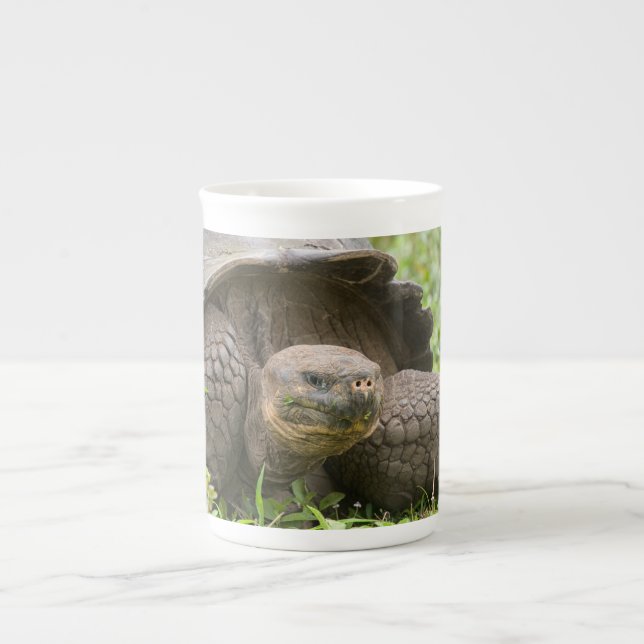 Giant turtle bone china mug (Front)