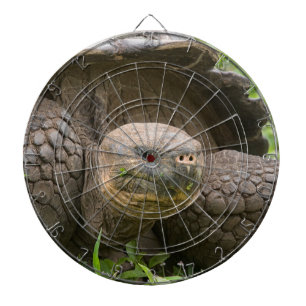 Giant turtle dart board