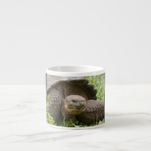 Giant turtle espresso cup