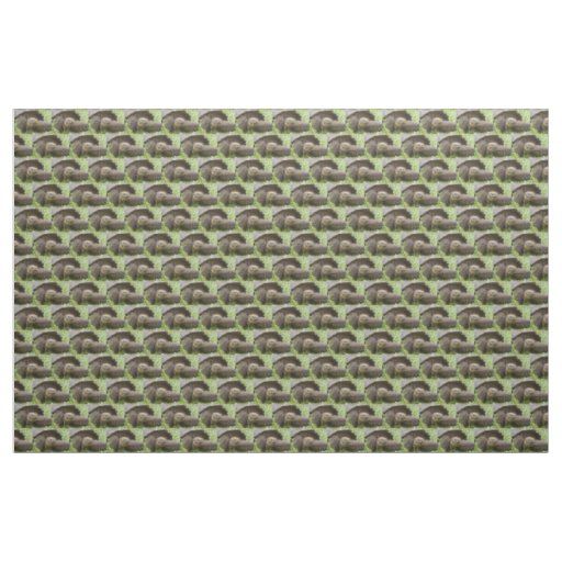 Giant turtle fabric