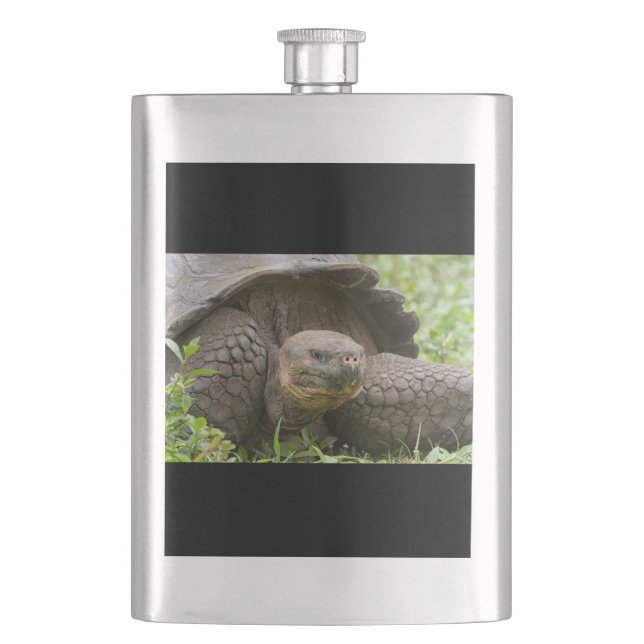 Giant turtle flask (Front)