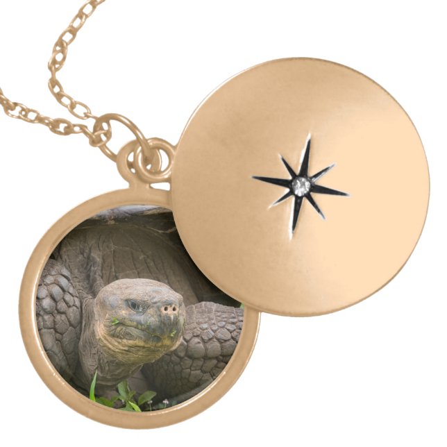 Giant turtle gold plated necklace (Front)
