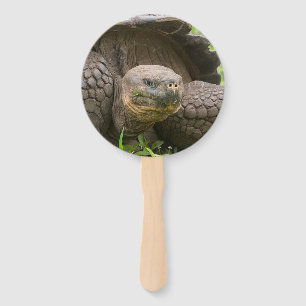 Giant turtle hand fan