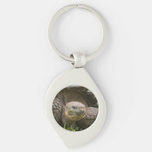 Giant turtle keychain