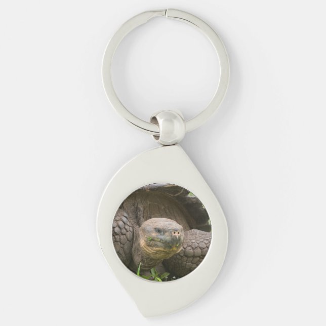 Giant turtle keychain (Front)