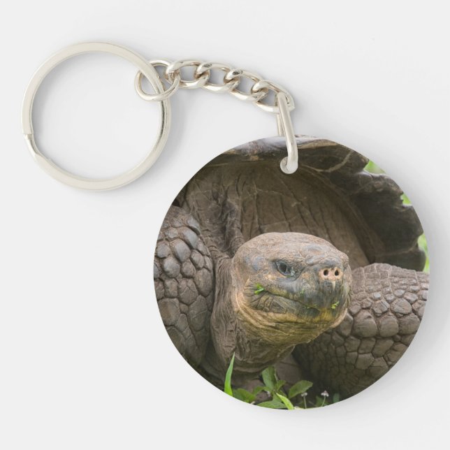 Giant turtle keychain (Front)
