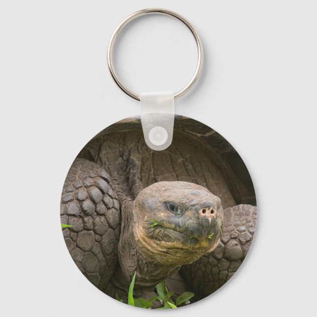 Giant turtle keychain (Front)