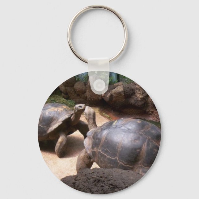 Giant Turtle Kiss Keychain (Front)