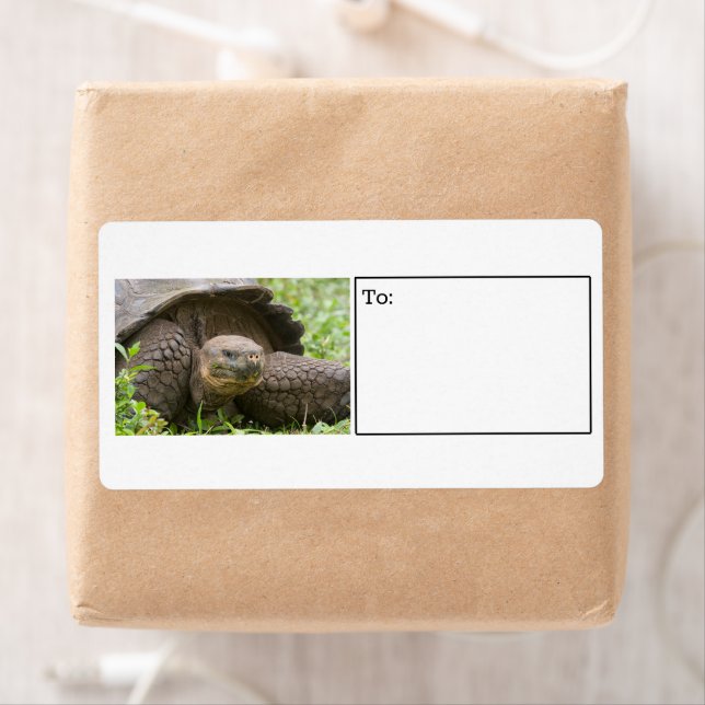 Giant turtle label (Insitu)