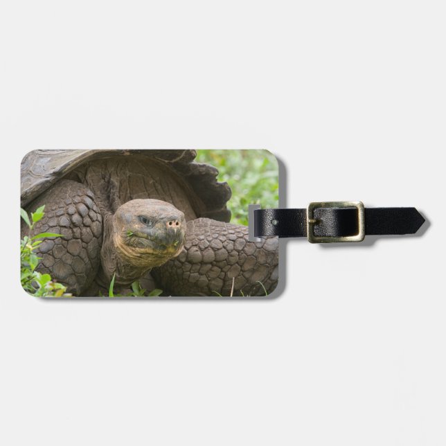Giant turtle luggage tag (Front Horizontal)