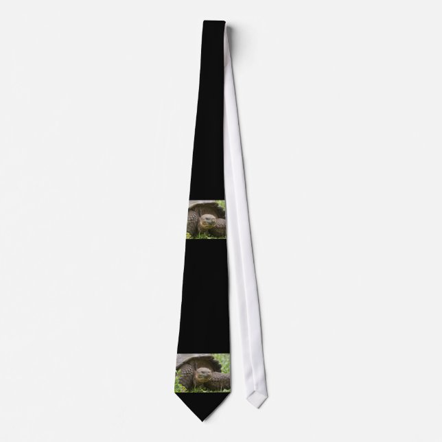 Giant turtle neck tie (Front)