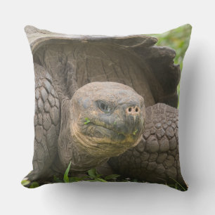 Giant turtle outdoor pillow