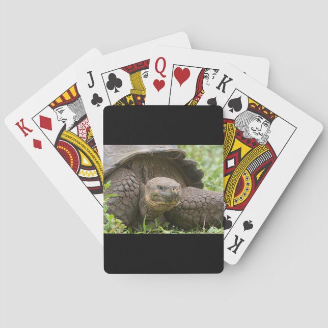 Giant turtle poker cards (Back)