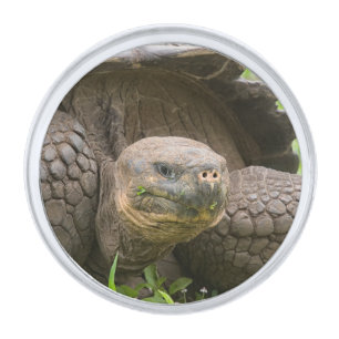 Giant turtle silver finish lapel pin