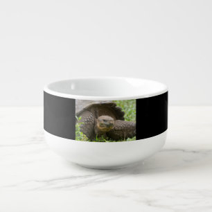 Giant turtle soup mug