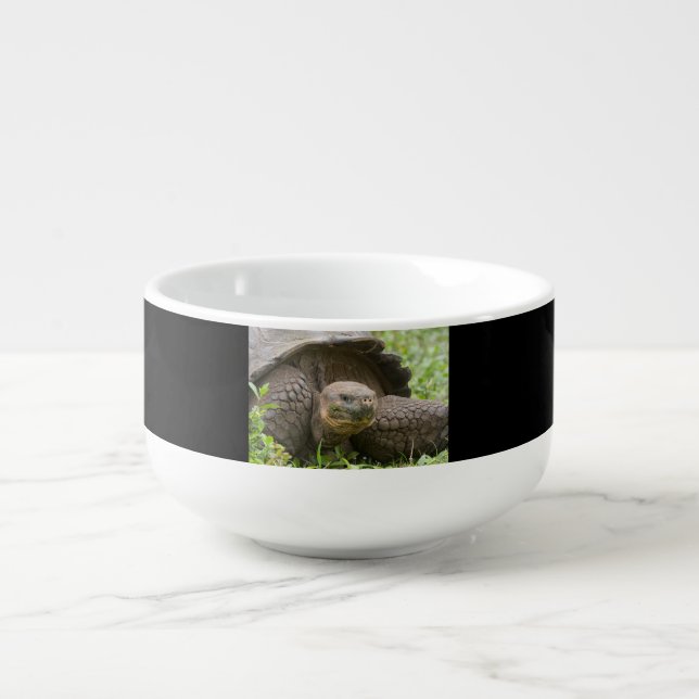 Giant turtle soup mug (Front)