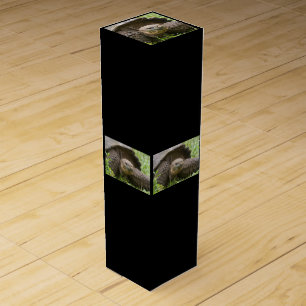 Giant turtle wine box