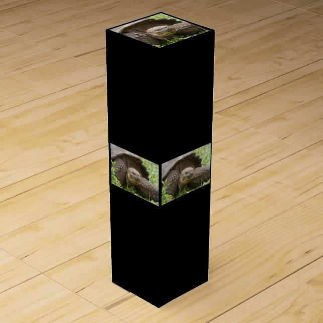 Giant turtle wine box (Front)
