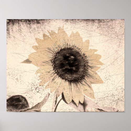 Giant Vintage Sunflower Sepia Brown Yellow Texture Poster