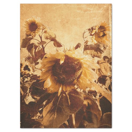 Giant Vintage Sunflowers Sepia Decoupage Art Tissue Paper