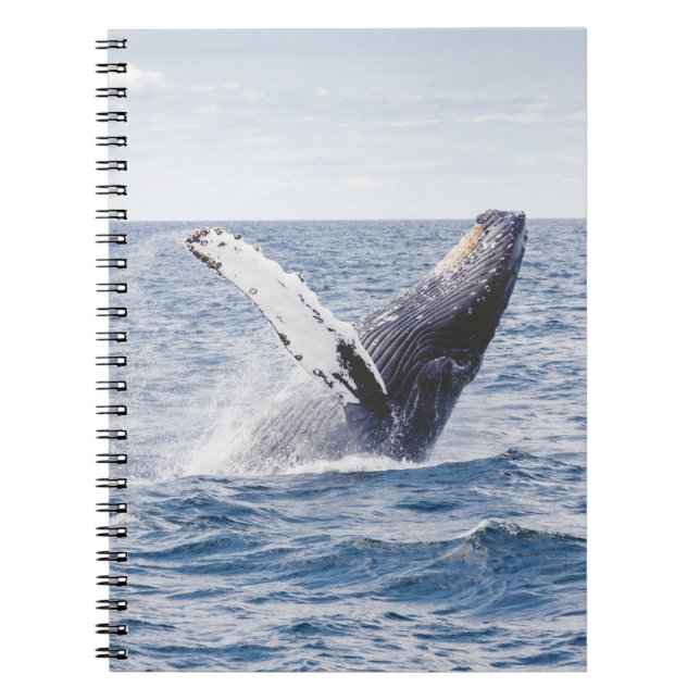 Giant Whale Jumps Out Of Ocean  Notebook (Front)
