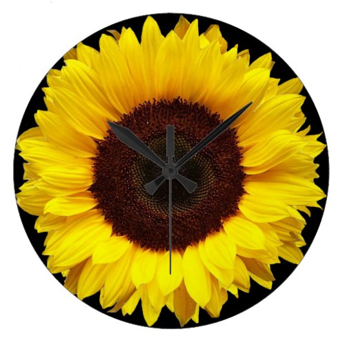 Giant Yellow Garden Sunflower on Black Background Large Clock