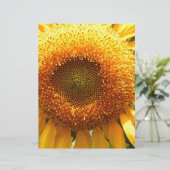 Giant yellow mammoth sunflower photo (Standing Front)
