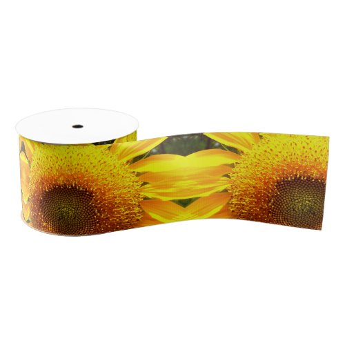 Giant yellow mammoth sunflower photo grosgrain ribbon