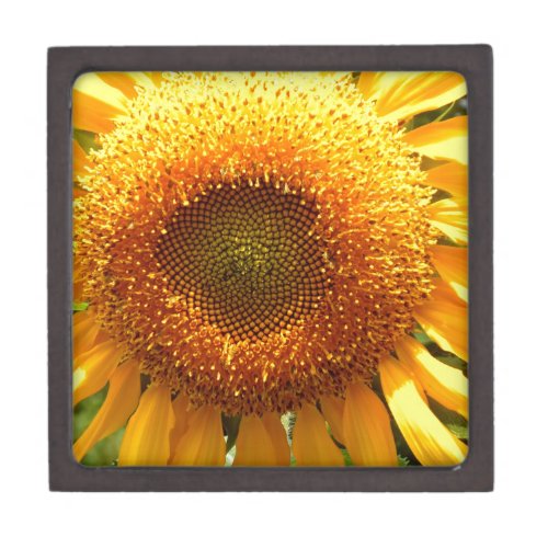 Giant yellow mammoth sunflower photo jewelry box