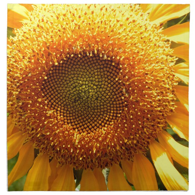 Giant yellow mammoth sunflower photo napkin (Front)