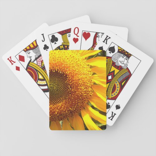 Giant yellow mammoth sunflower photo poker cards