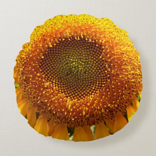 Giant yellow mammoth sunflower photo round pillow