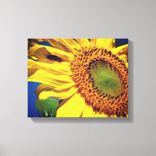 Giant Yellow Sunflower And Insect Friend  Canvas Print