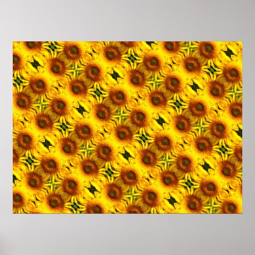 Giant yellow  Sunflower pattern  Poster