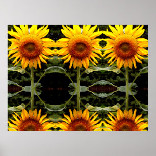 Giant yellow Sunflower yellow flowers pattern   Poster