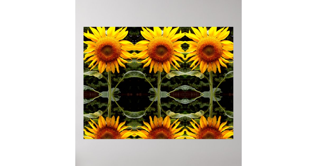 Giant yellow Sunflower yellow flowers pattern Poster | Zazzle