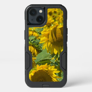 Giant Yellow Sunflowers iPhone 13 Case