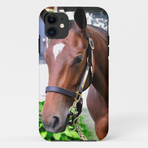 Giants Causeways Filly iPhone 11 Case