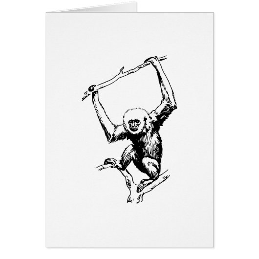 Gibbon Cards (Front)