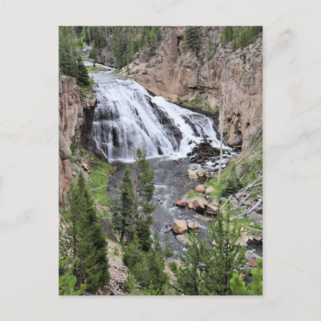 Gibbon Falls, Yellowstone National Park Postcard (Front)