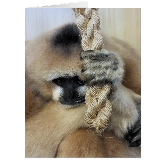 GIBBON GREETINGS CARD (Front)