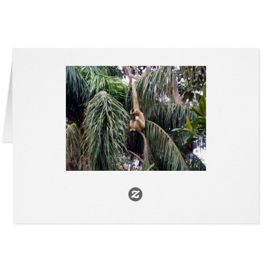 Gibbon Just Hanging Around, (Back Horizontal)